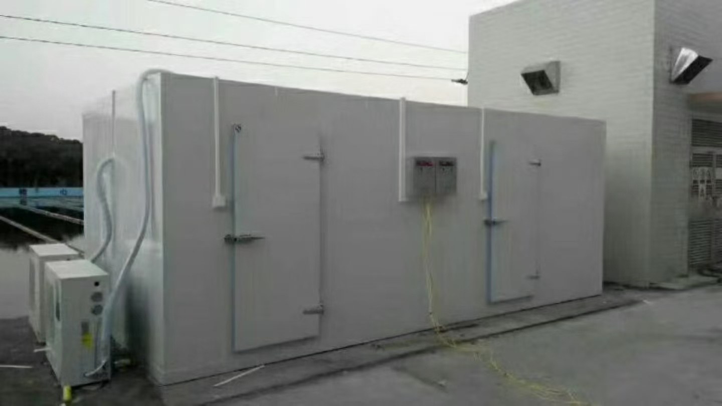 Two insulated access doors sit along a white panel wall. Outdoor refrigeration equipment is positioned beside the room.